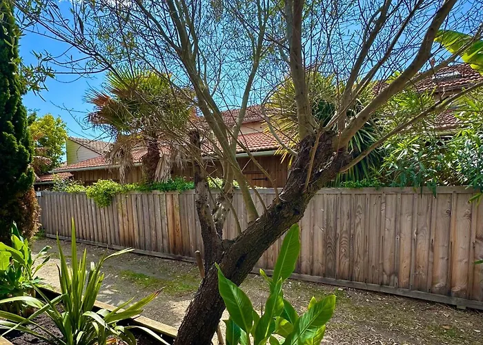 Charmante Maison A 150 M De La Lège-Cap-Ferret