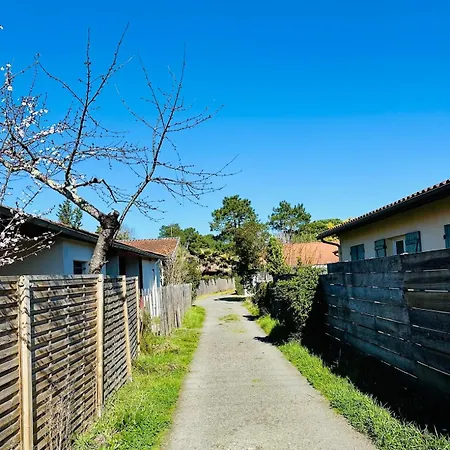 Charmante Maison A 150 M De La Holiday home *