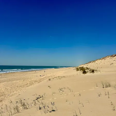 Charmante Maison A 150 M De La Lege-Cap-Ferret